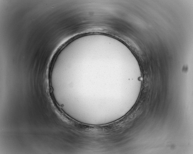 X0000103290792200809191829