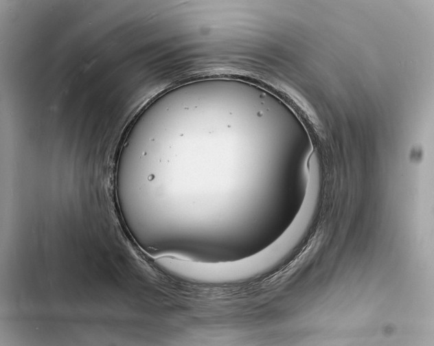 X0000103290793200809191829