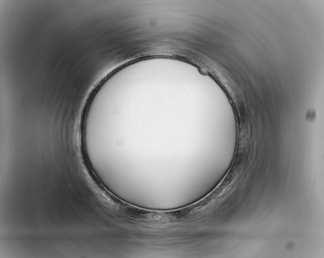 X0000103290795200809191829