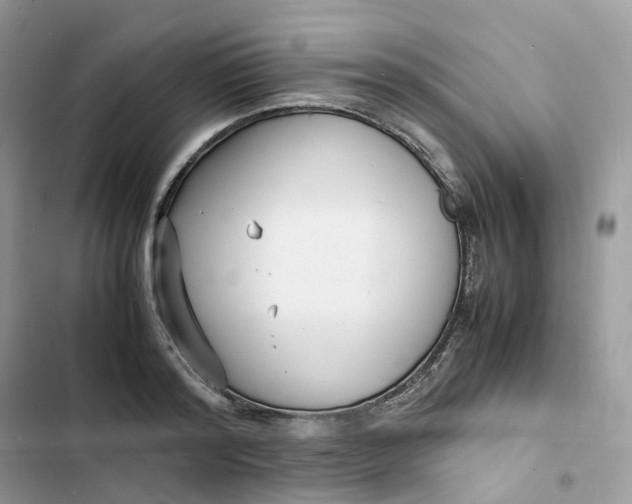 X0000103290796200809191829