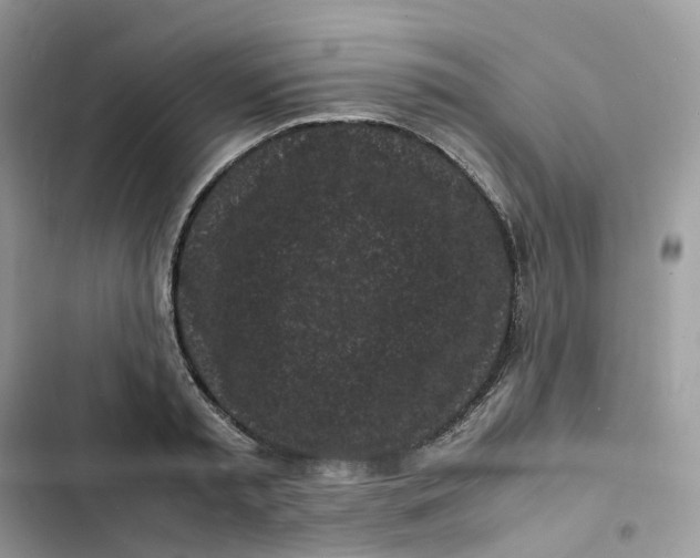 X0000103290797200809191829