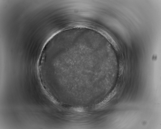 X0000103290798200809191829