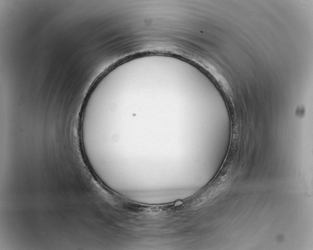 X0000103290799200809191829