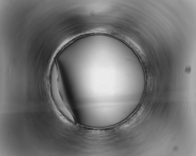 X0000103290800200809191829