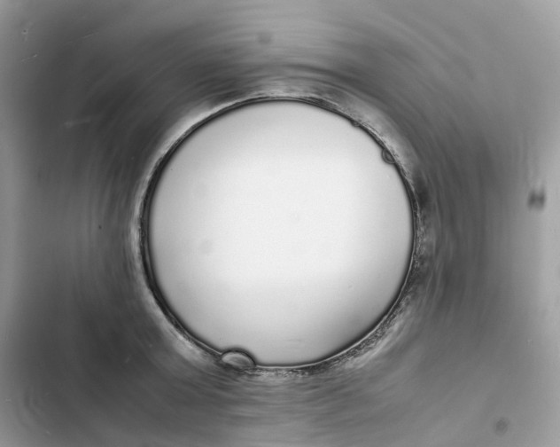 X0000103290803200809191829