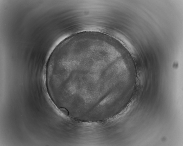 X0000103290804200809191829