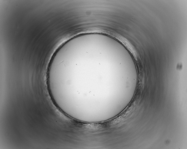 X0000103290805200809191829