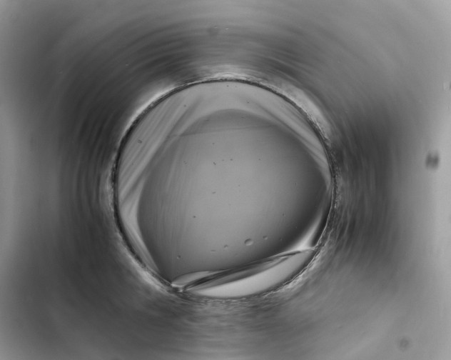 X0000103290806200809191829