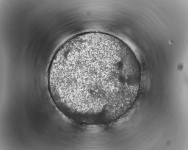 X0000103290807200809191829