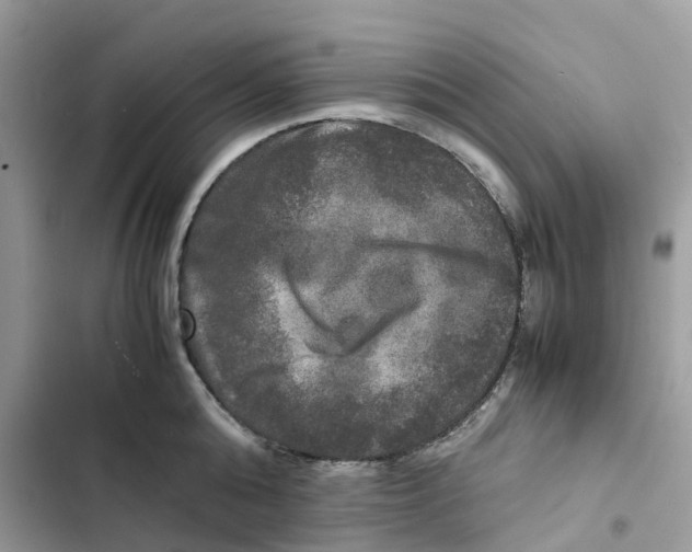 X0000103290808200809191829