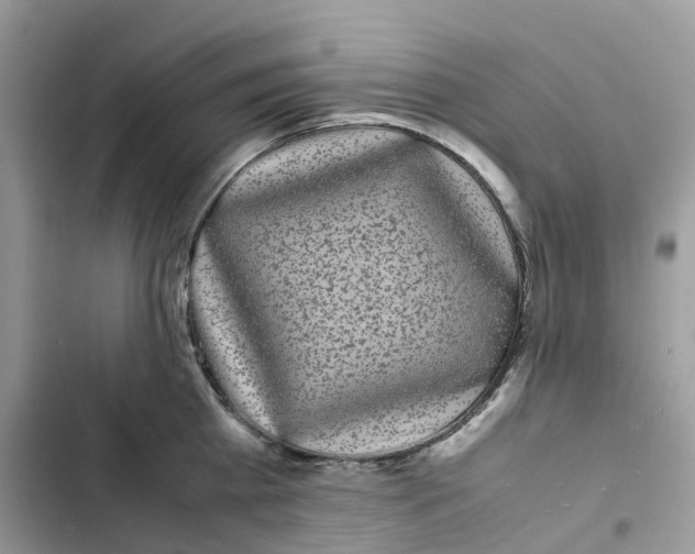 X0000103290809200809191829