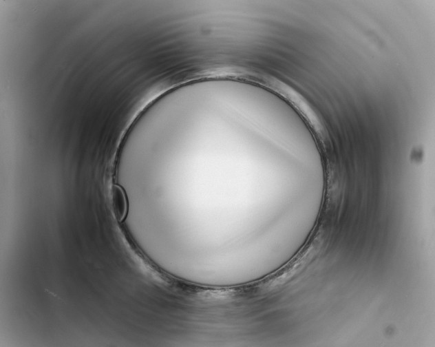 X0000103290810200809191829