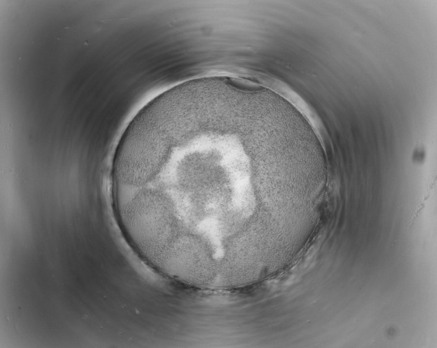 X0000103290811200809191829