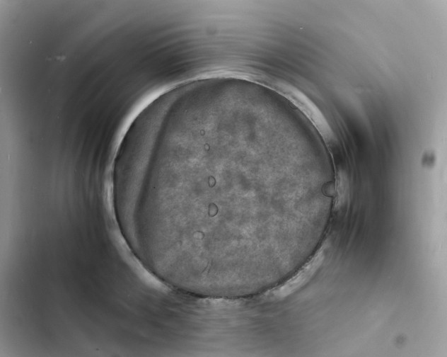 X0000103290812200809191828