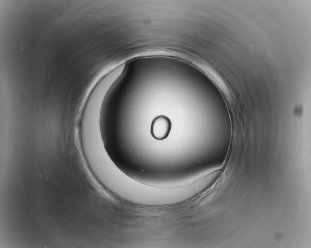 X0000103290813200809191828