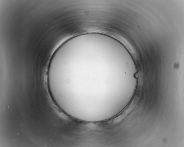 X0000103290814200809191828