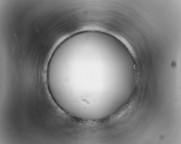 X0000103290815200809191828