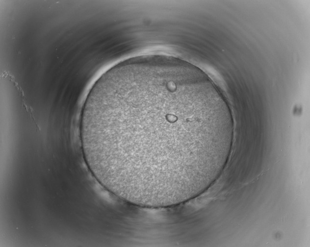 X0000103290816200809191828