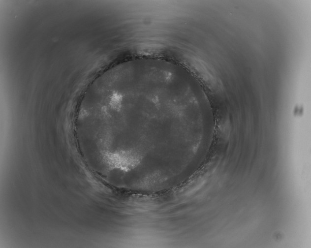 X0000103290817200809191828