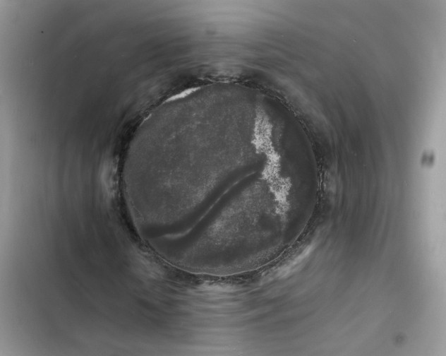 X0000103290818200809191828