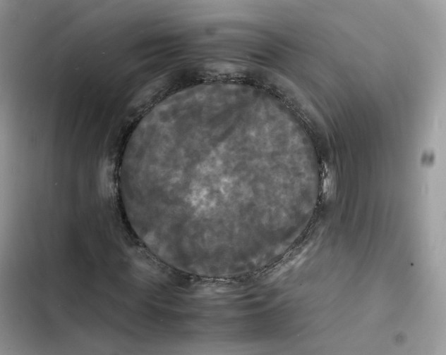 X0000103290819200809191828