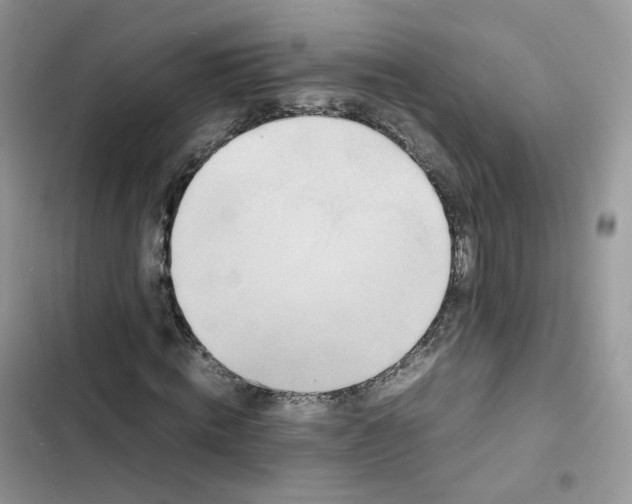 X0000103290820200809191828