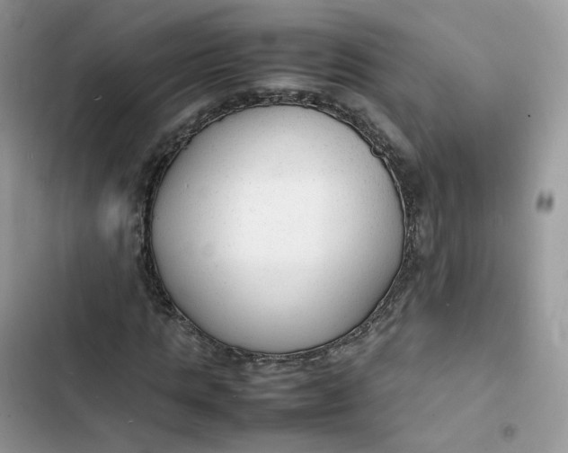 X0000103290821200809191828