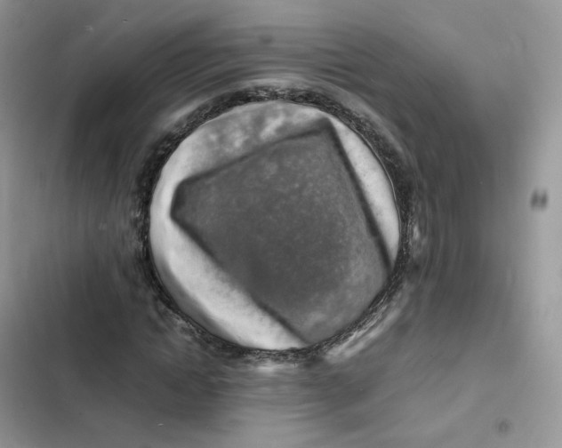 X0000103290822200809191828