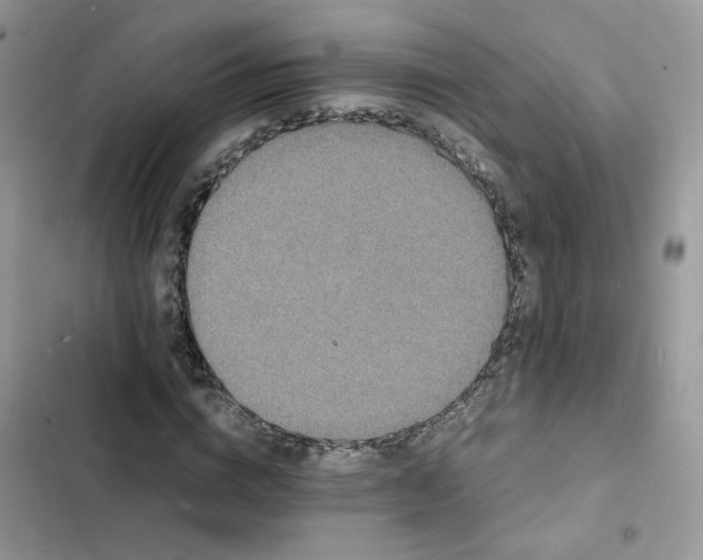 X0000103290824200809191828