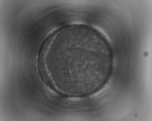 X0000103290825200809191828