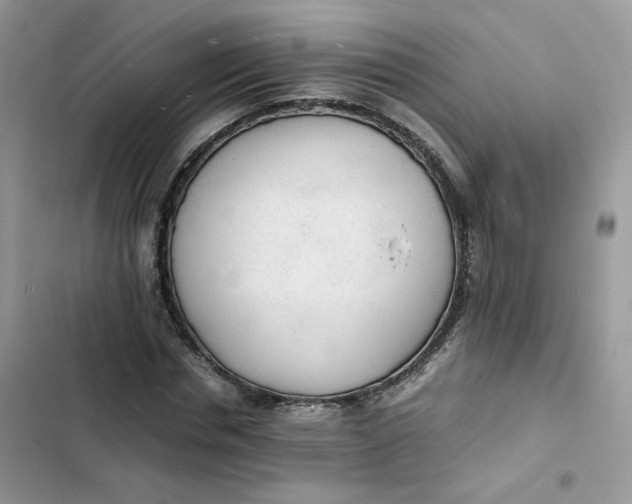 X0000103290826200809191828