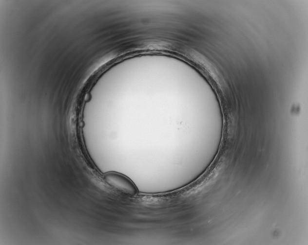 X0000103290827200809191828