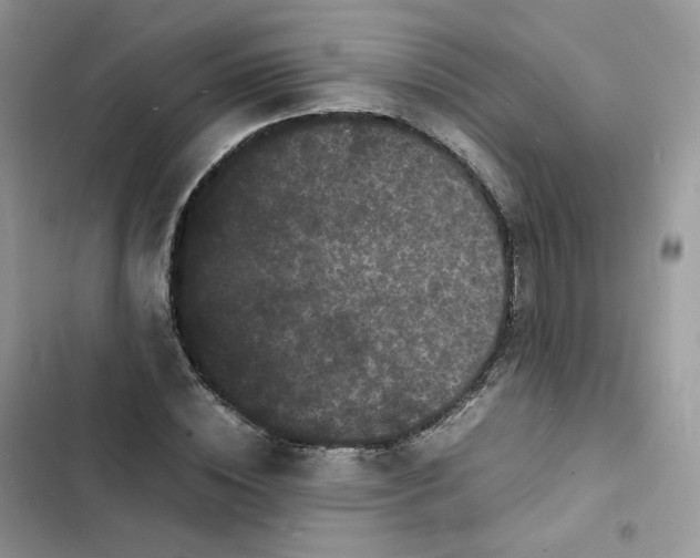 X0000103290828200809191828