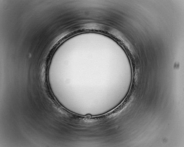 X0000103290829200809191828