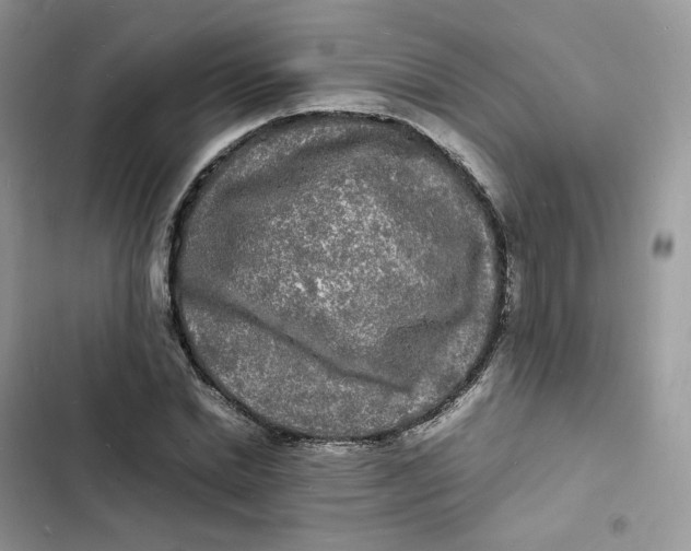 X0000103290830200809191828