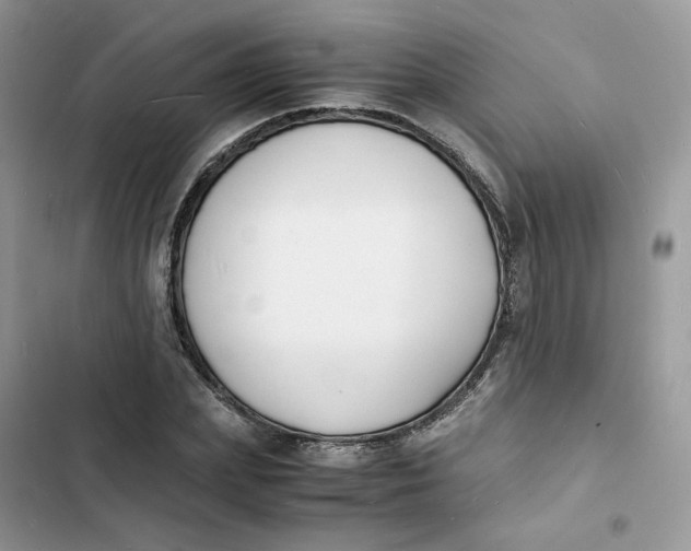 X0000103290831200809191828