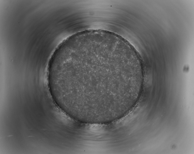 X0000103290832200809191828