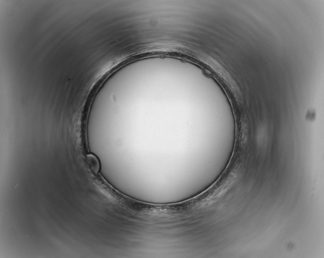 X0000103290834200809191828