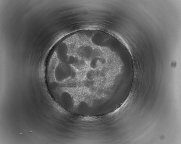 X0000103290835200809191828