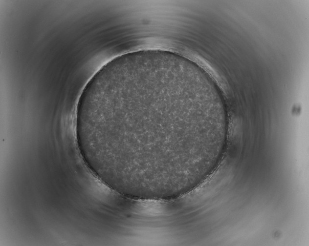 X0000103290836200809191828