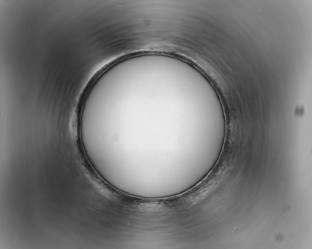 X0000103290838200809191828