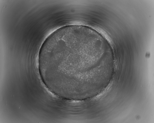 X0000103290839200809191828