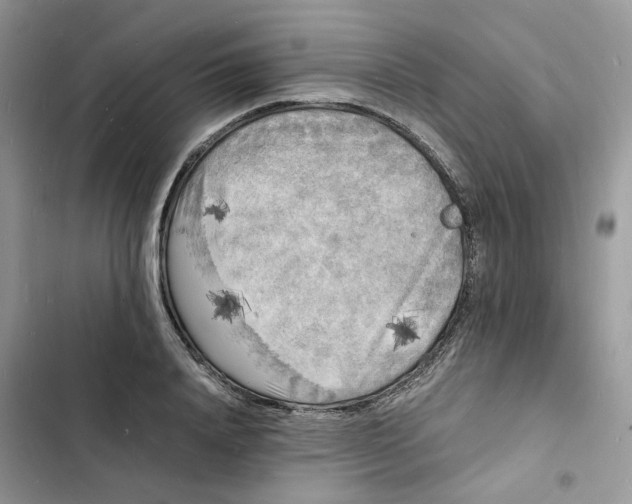 X0000103290840200809191828