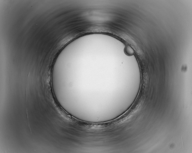 X0000103290841200809191828