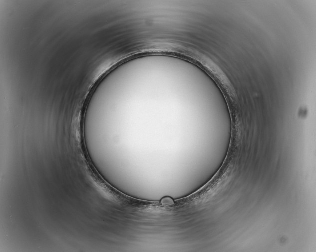 X0000103290842200809191828