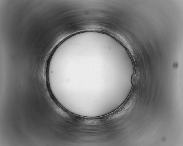 X0000103290843200809191828