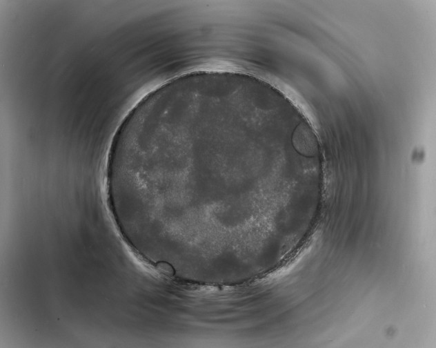 X0000103290845200809191828