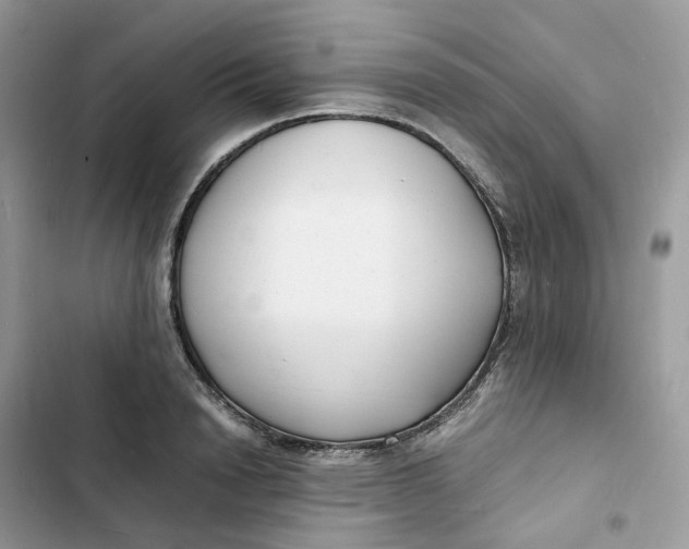 X0000103290846200809191828