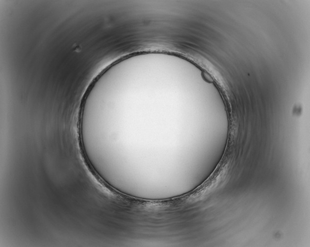 X0000103290847200809191828