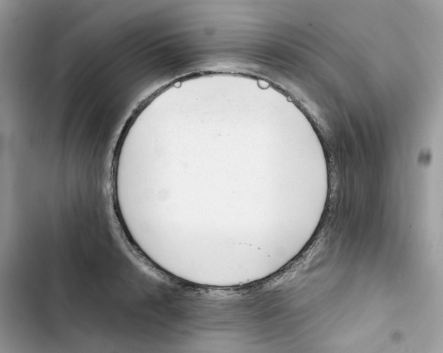 X0000103290848200809191828